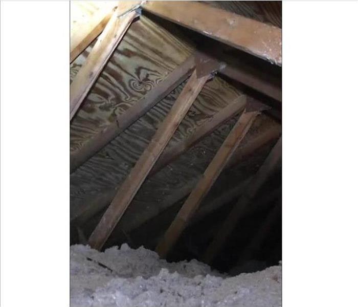 the wood in the attic is cleaned of mold