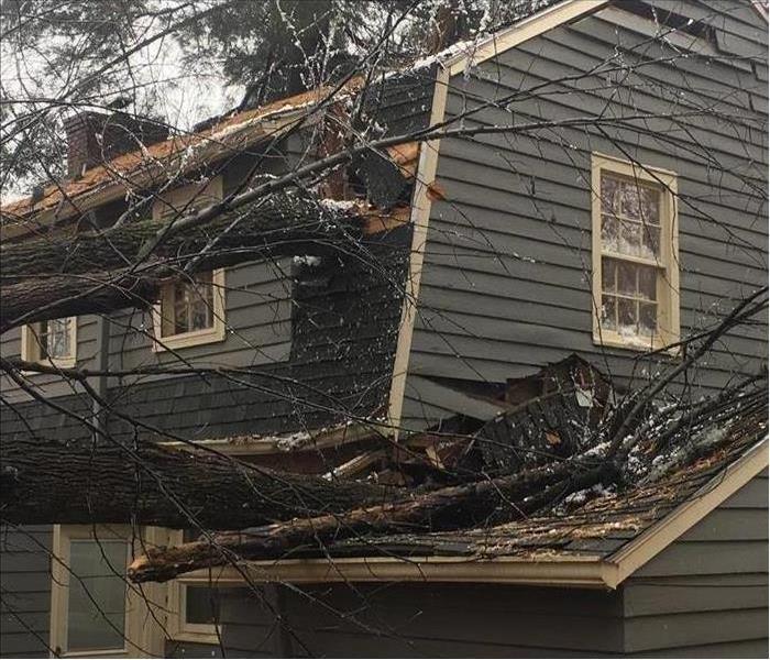 A tree has fallen on a roof of a home and broke a hole in the roof
